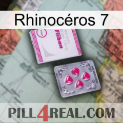 Rhinocéros 7 32
